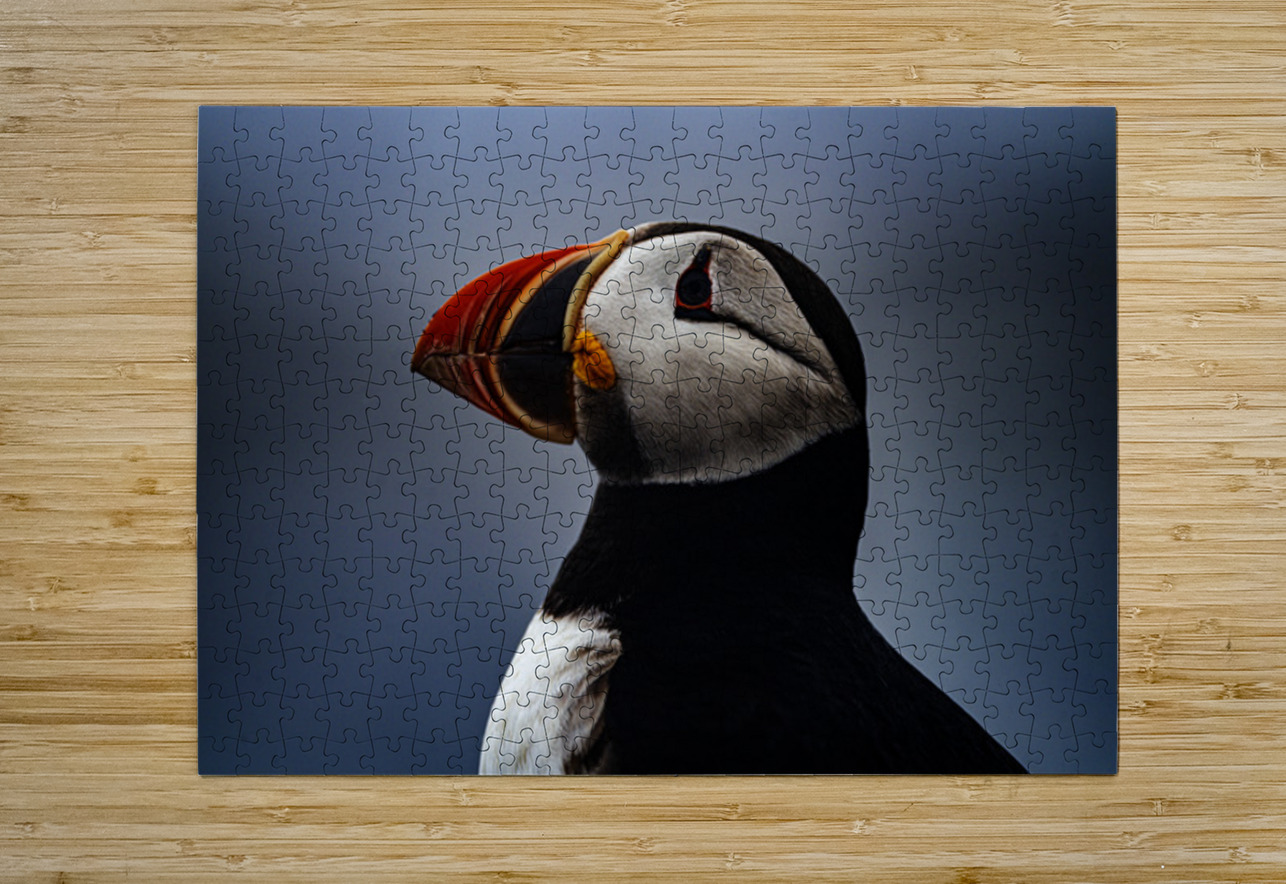 My best shot ever  Francois Lapointe Puzzle printing