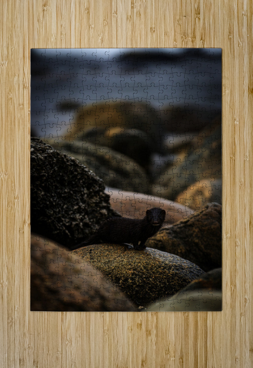 Mighty Mink I Francois Lapointe Puzzle printing