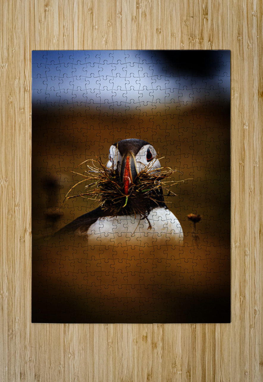 Beak Full Francois Lapointe Puzzle printing