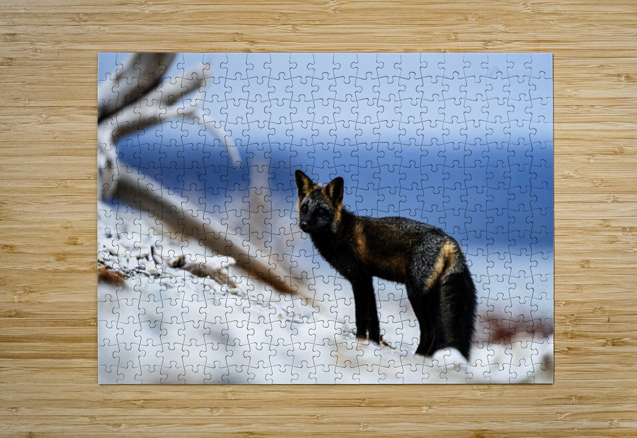 Fire Fox I Francois Lapointe Puzzle printing