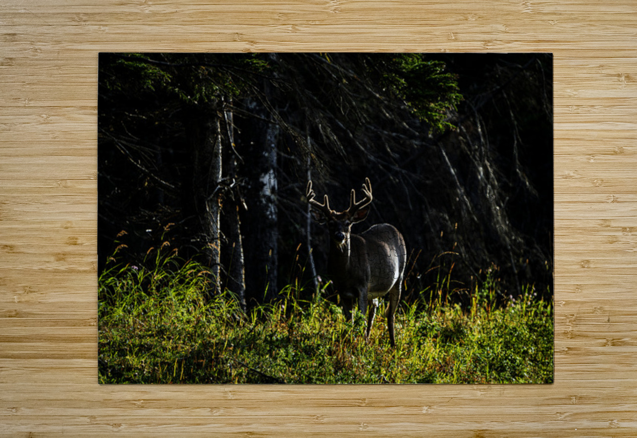 Great Prince of the Forest II Francois Lapointe Puzzle printing