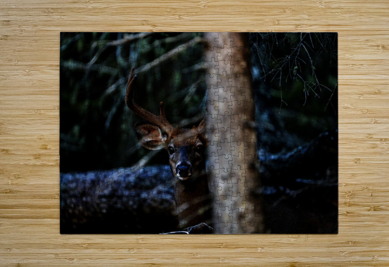 Great Prince of the Forest I Francois Lapointe Puzzle printing