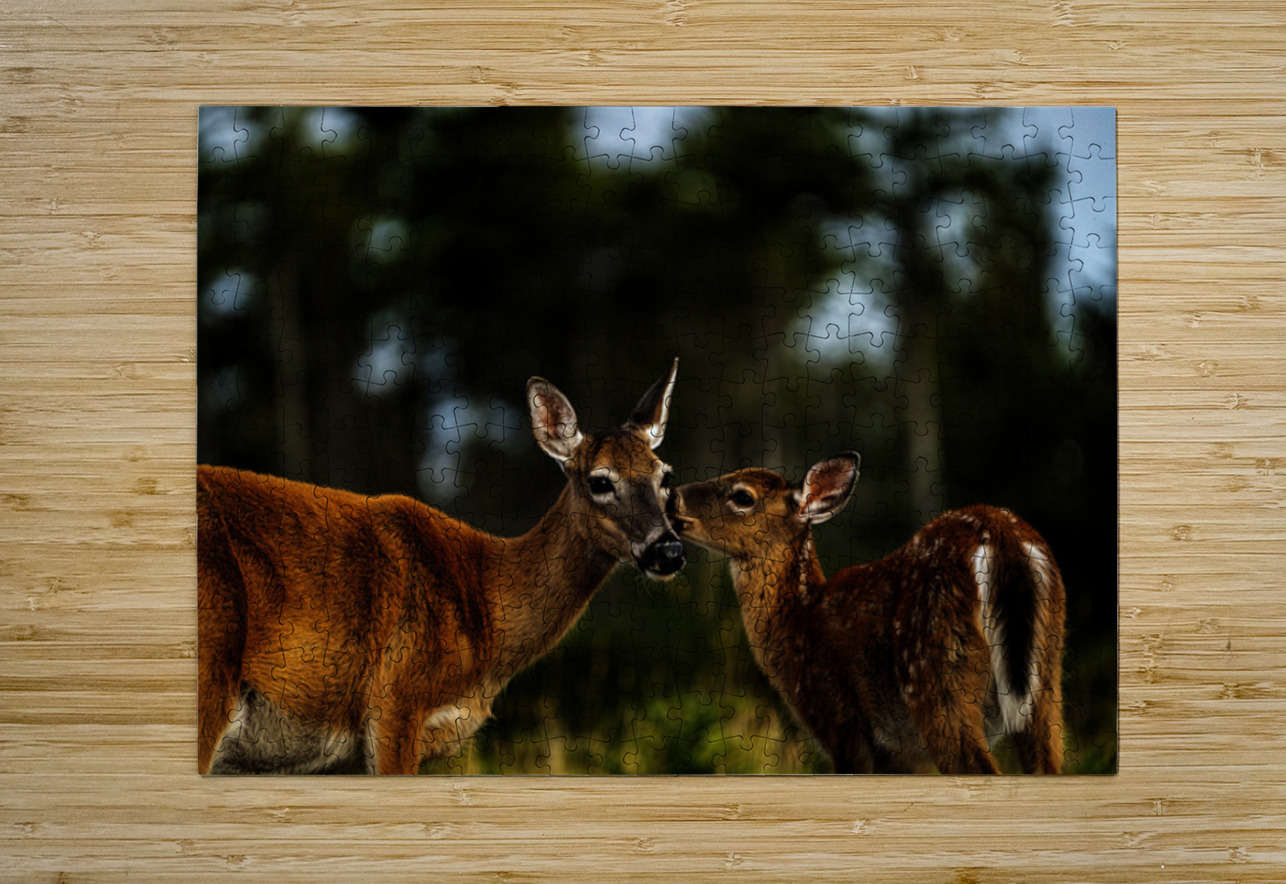 Mother Nature I Francois Lapointe Puzzle printing