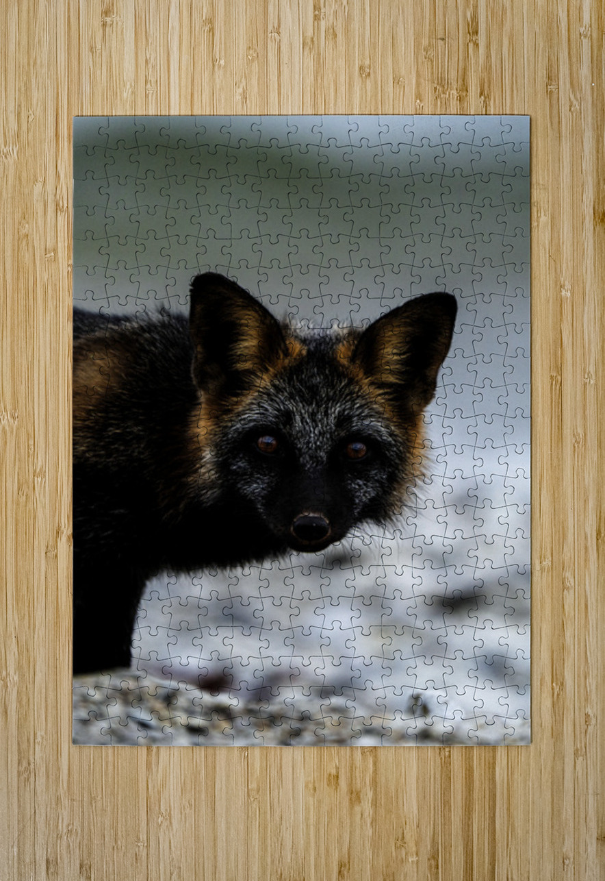 Fire Fox II Francois Lapointe Puzzle printing