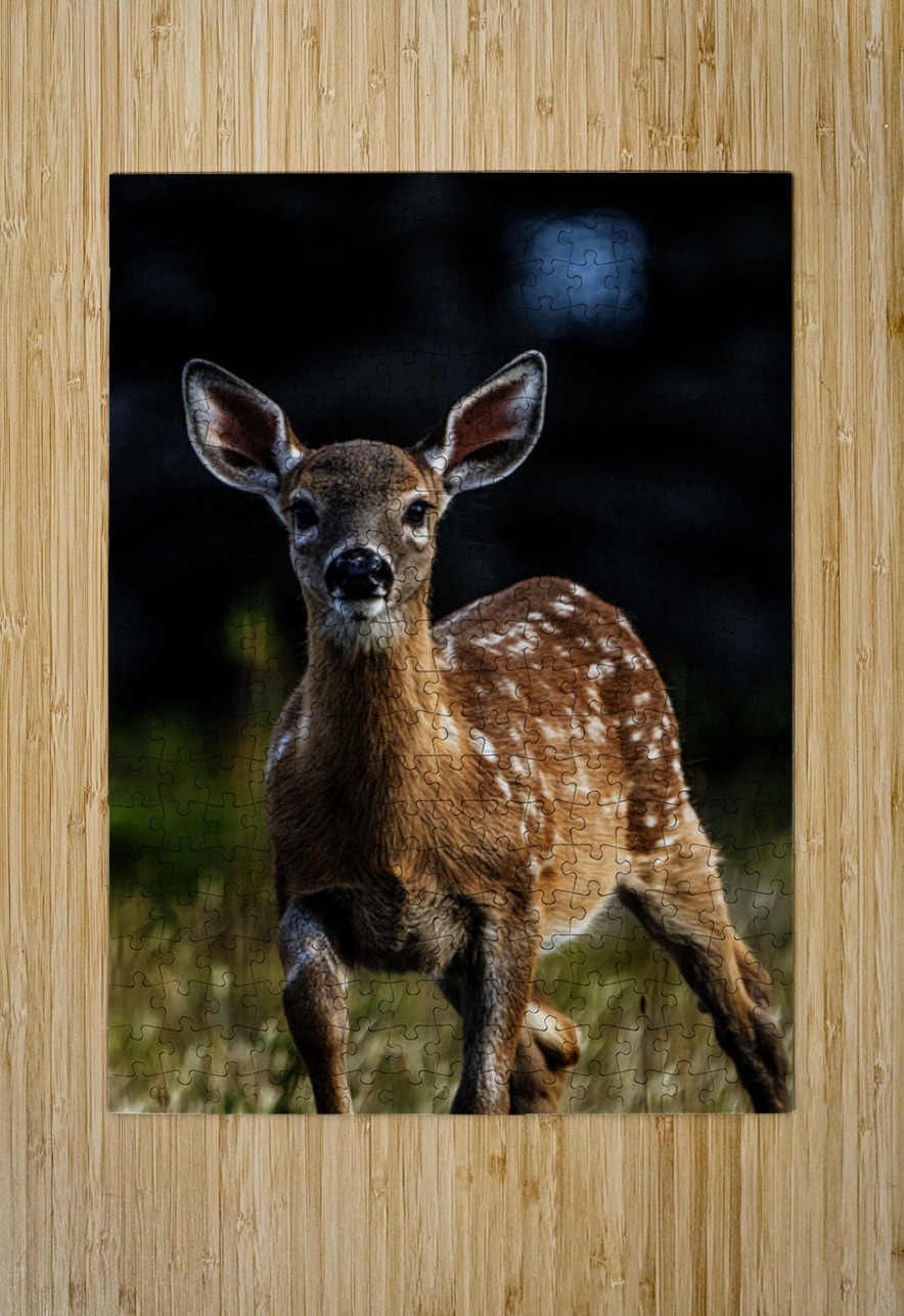 Eye for an eye III Francois Lapointe Puzzle printing