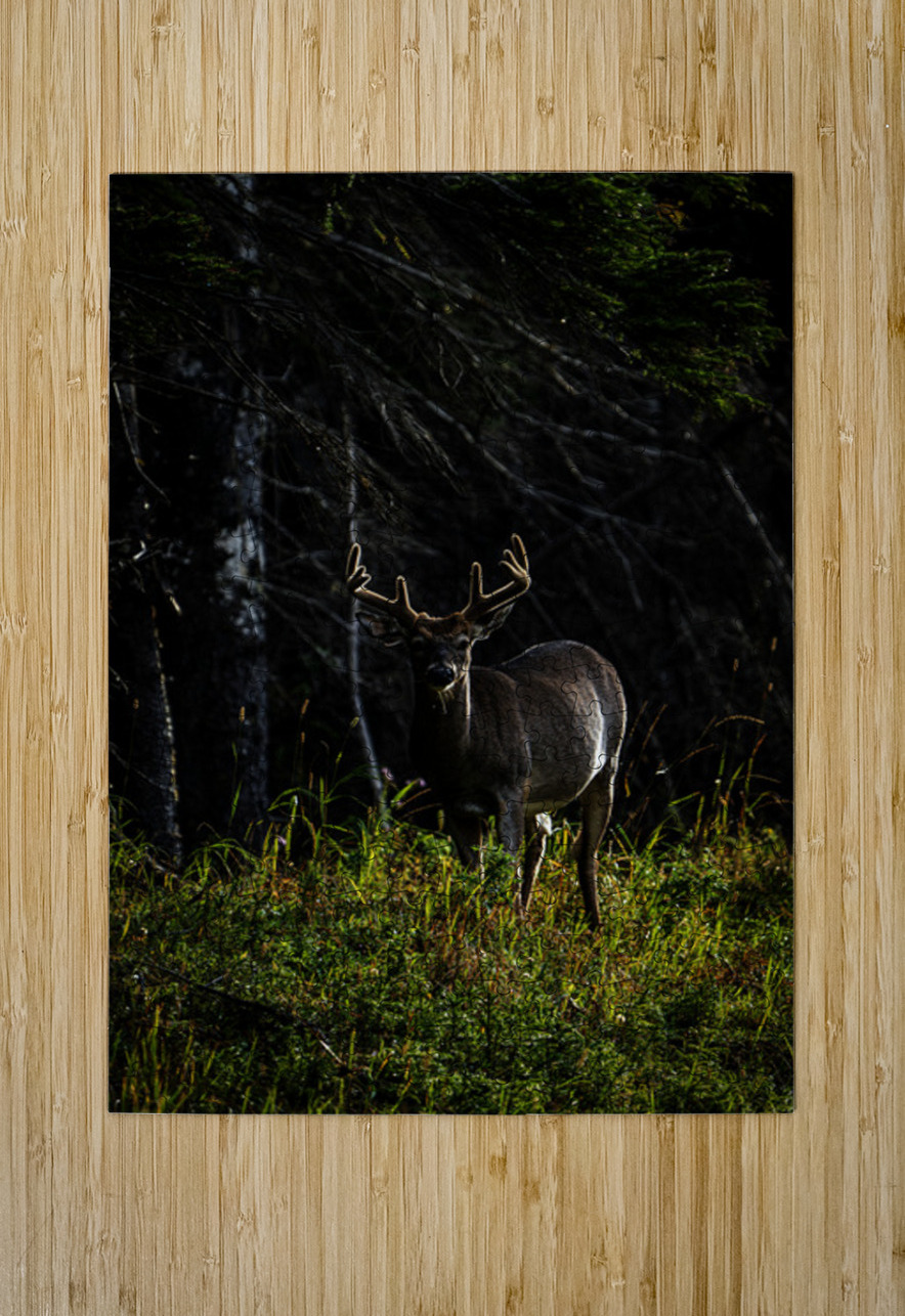 Great Prince of the Forest III Francois Lapointe Puzzle printing