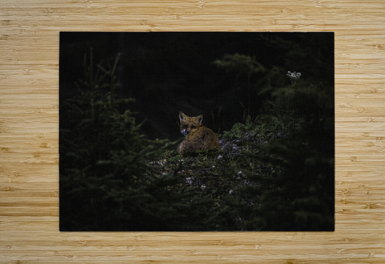 Un soir de septembre Francois Lapointe Puzzle printing