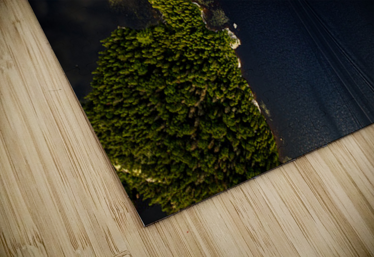 Les belles eaux noires Francois Lapointe Puzzle