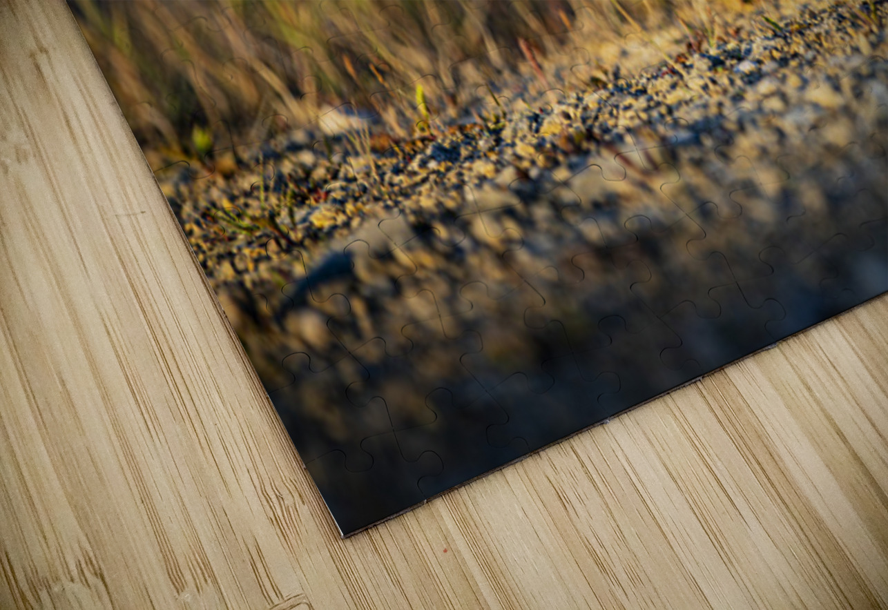 Un matin apres la chasse Francois Lapointe Puzzle