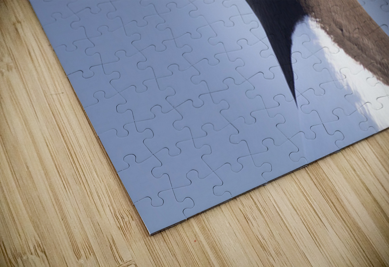 Bec de rasoir Francois Lapointe Puzzle