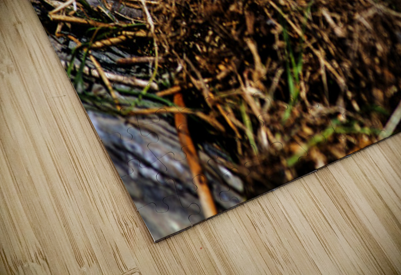 Day older Francois Lapointe Puzzle