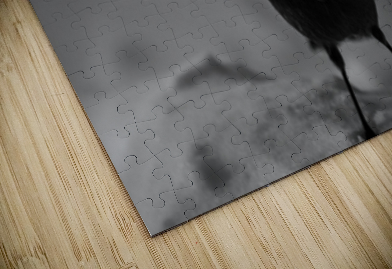 Pimbina Francois Lapointe Puzzle