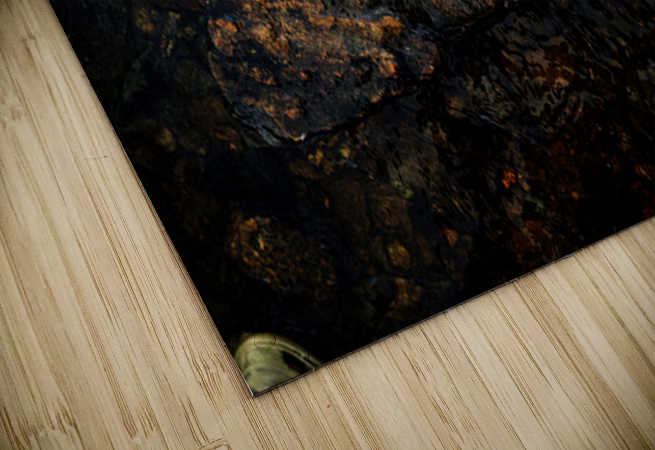 La grosse prise Francois Lapointe Puzzle