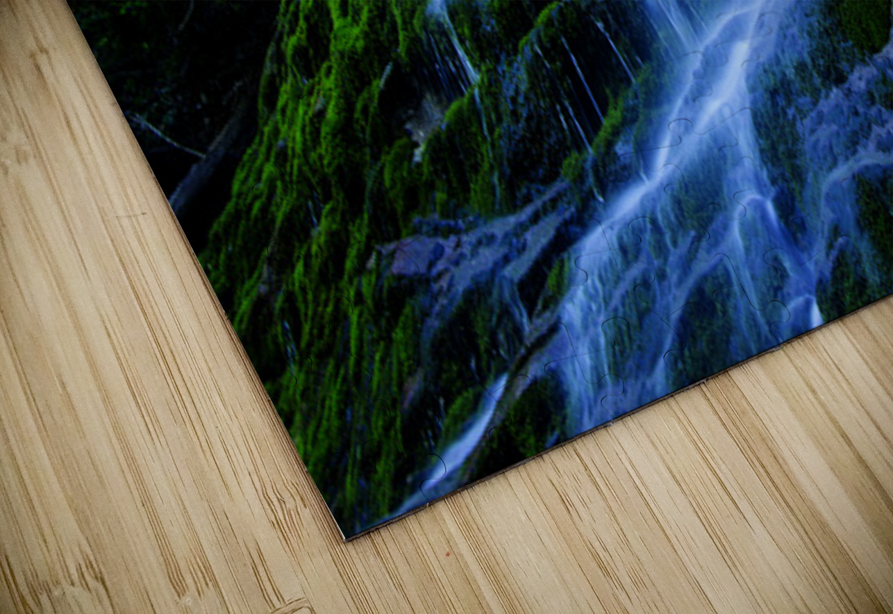 Les tropiques en Gaspesie Francois Lapointe Puzzle