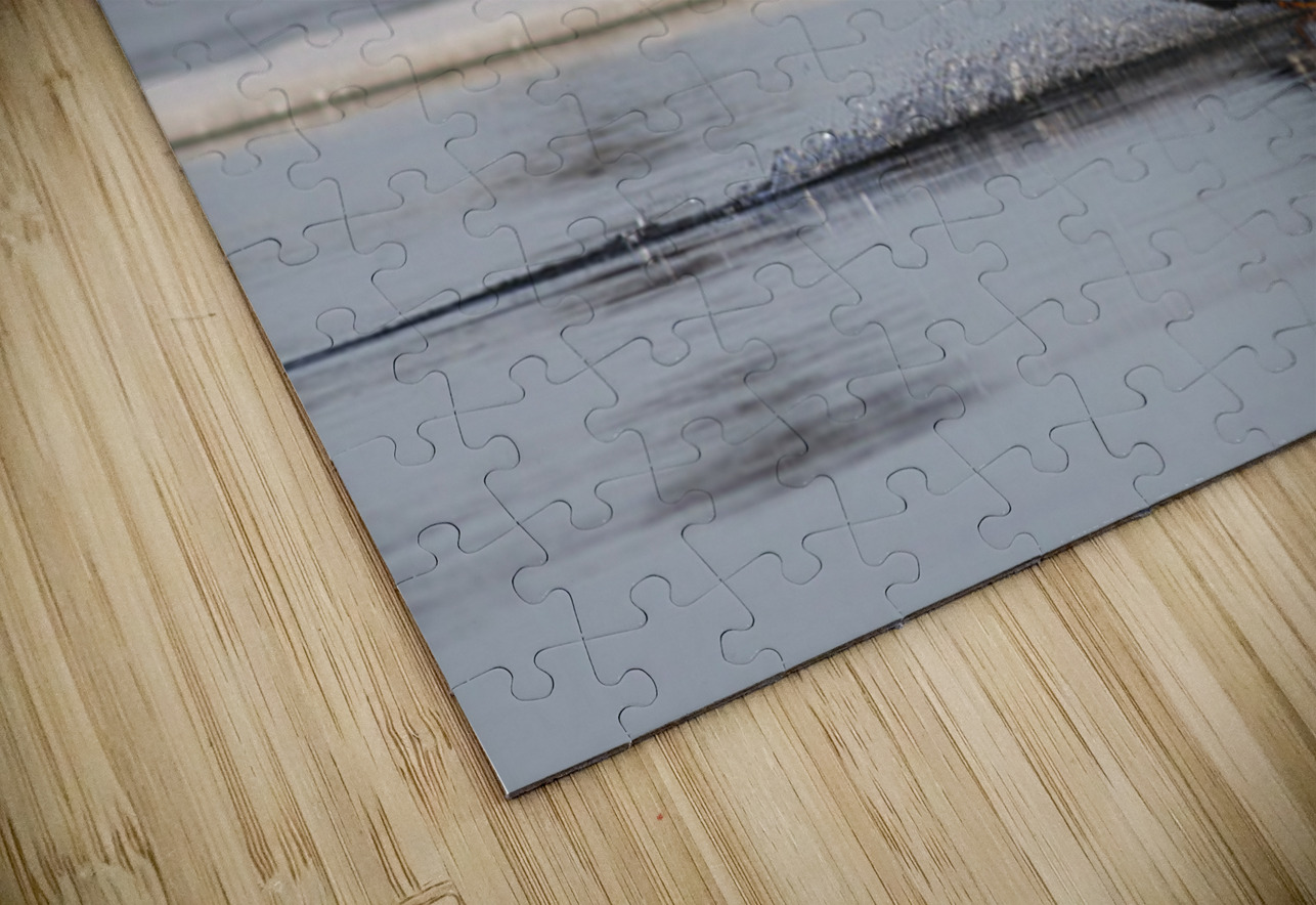 Surf mode Francois Lapointe Puzzle