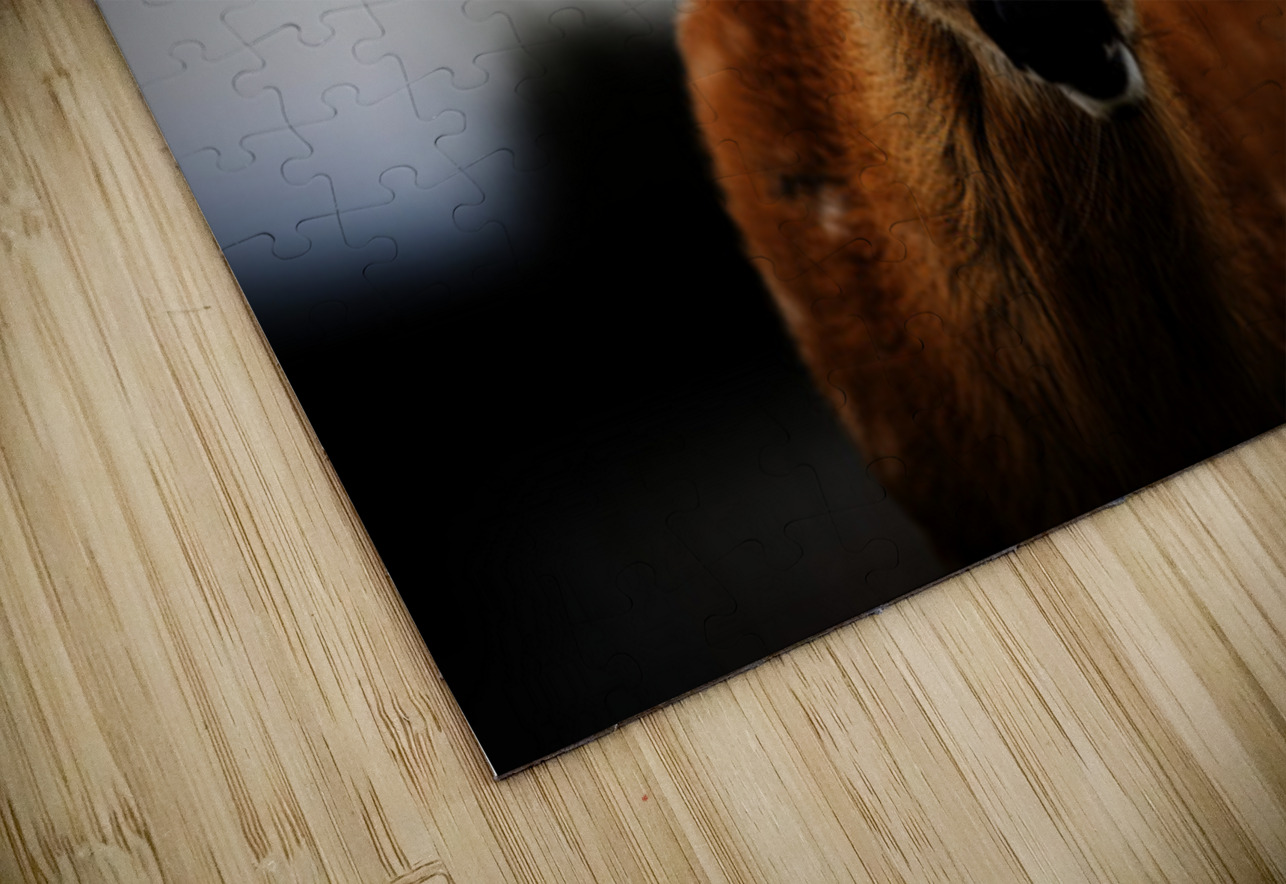 Bambi Francois Lapointe Puzzle