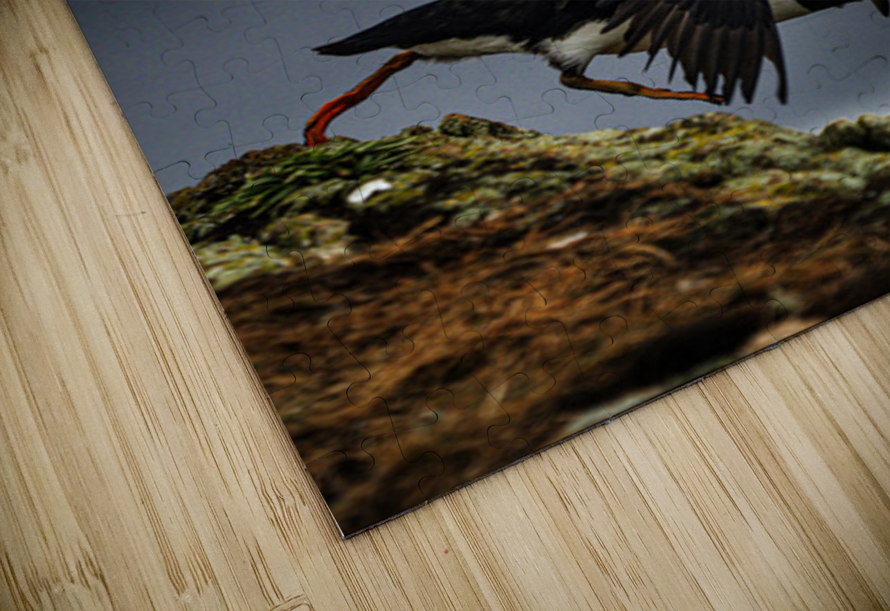 Off the Cliff it went Francois Lapointe Puzzle