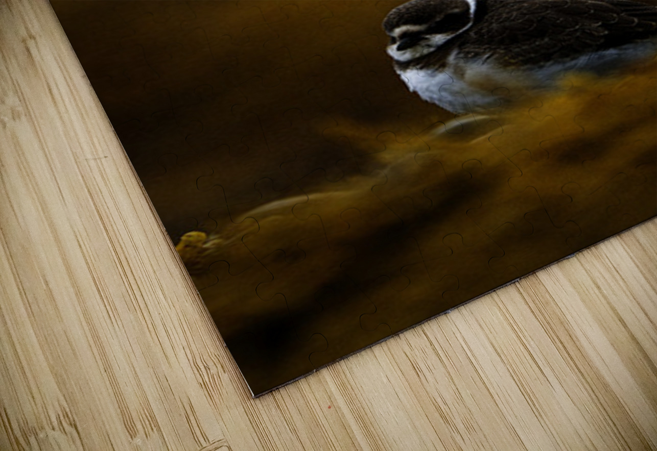 Pretty Plover III Francois Lapointe Puzzle