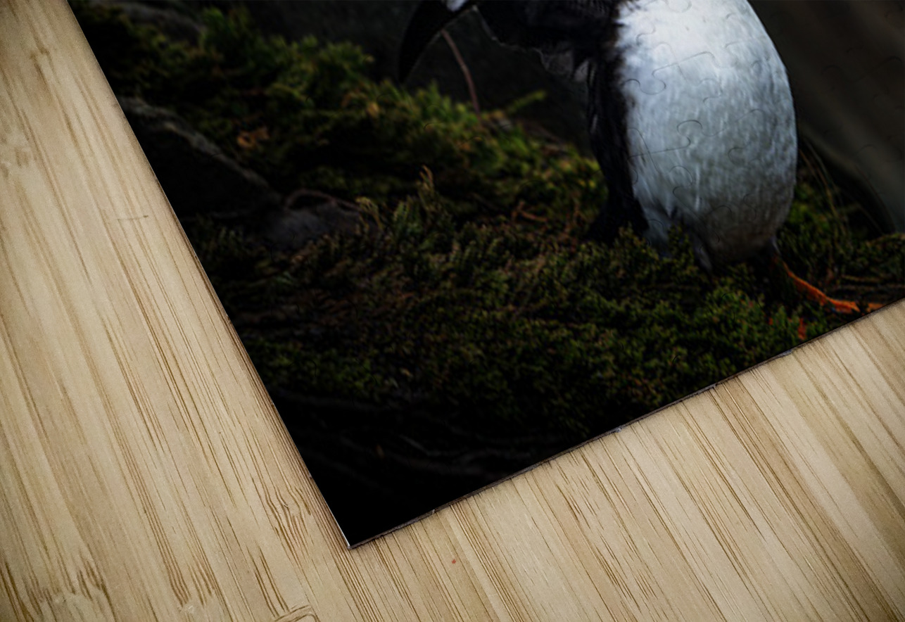 Shake the fog off Francois Lapointe Puzzle