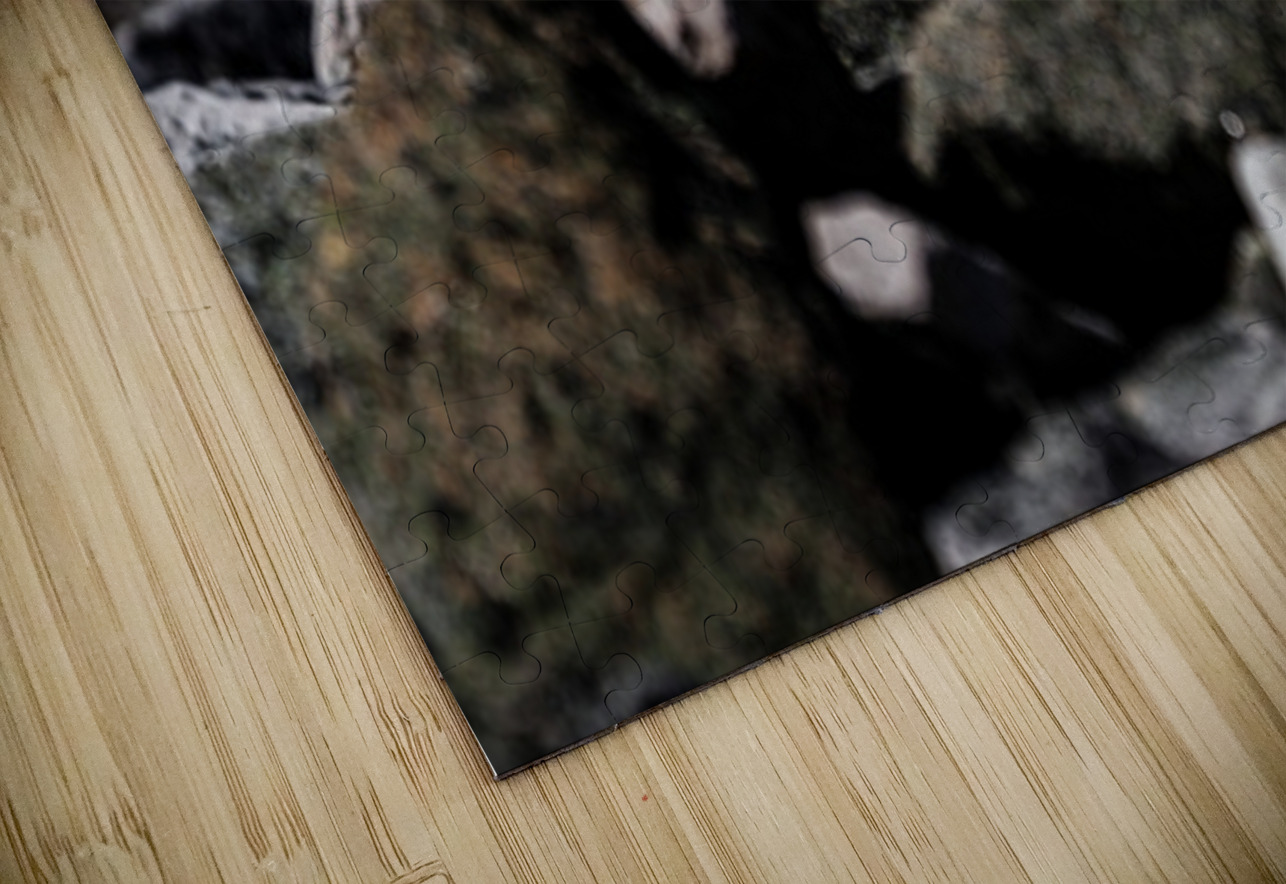 Hard as Rock Francois Lapointe Puzzle