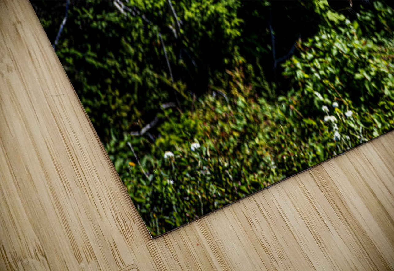 Bullwinkle I Francois Lapointe Puzzle