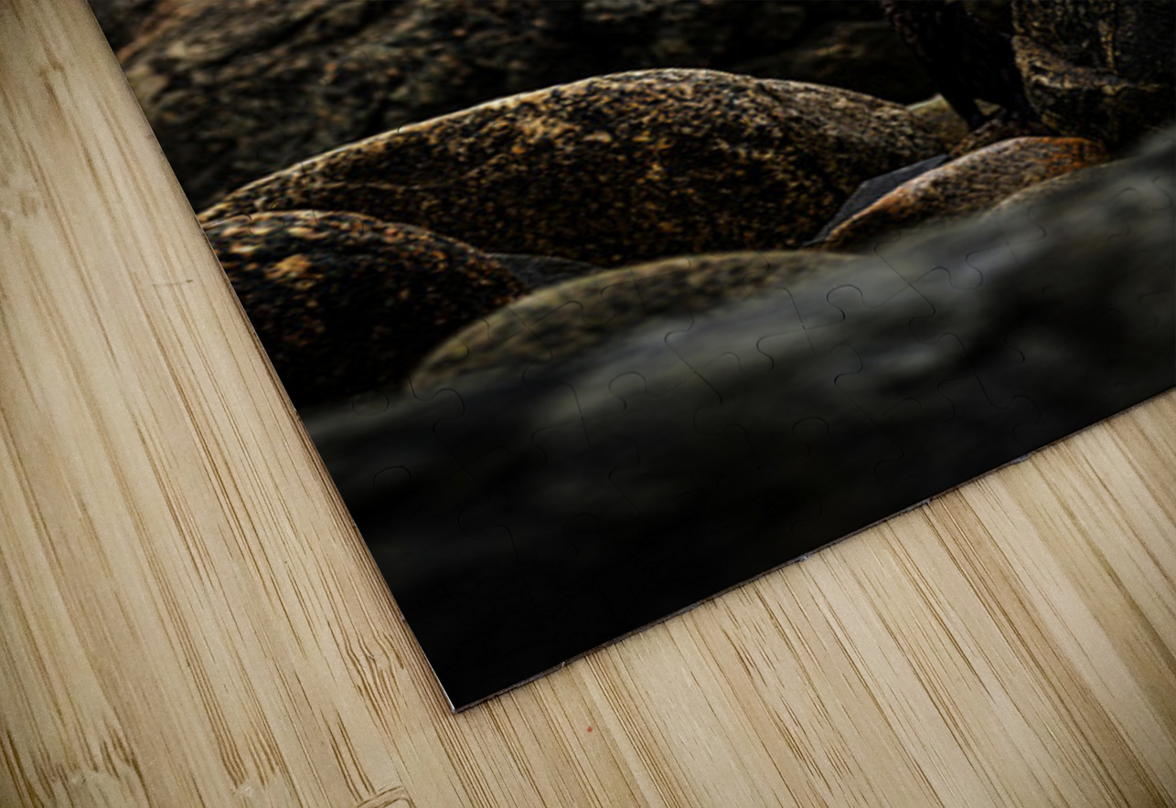 Mighty Mink IV Francois Lapointe Puzzle