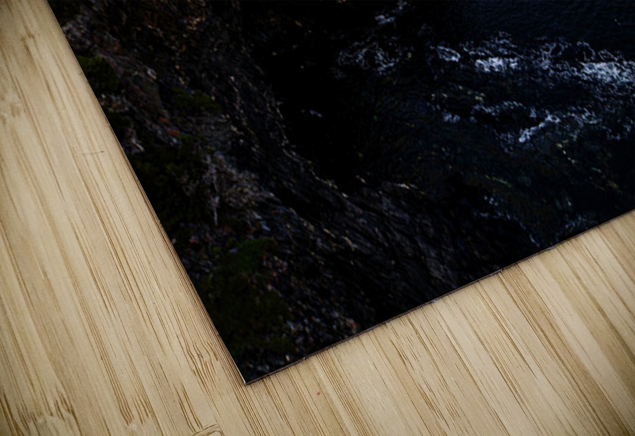 Terra Nova Francois Lapointe Puzzle