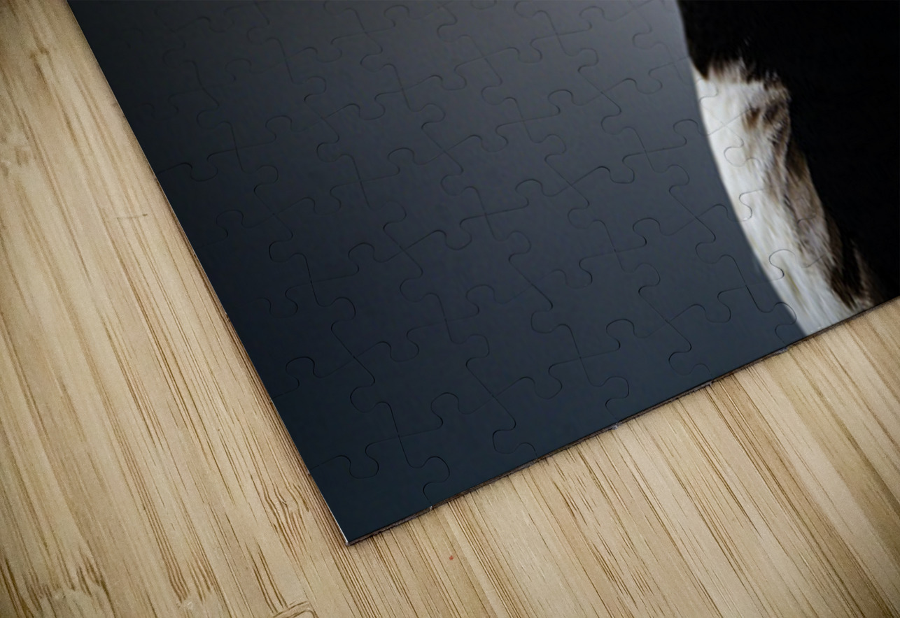 Sea Parrot III Francois Lapointe Puzzle