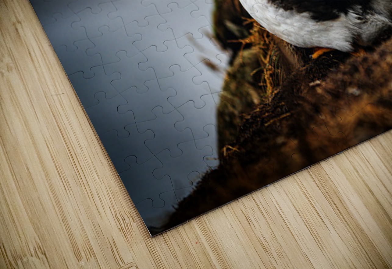 Just a little relaxation Francois Lapointe Puzzle