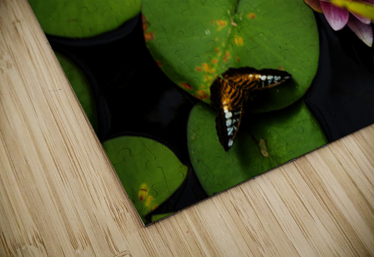 Butterflies and Lilies  Francois Lapointe Puzzle