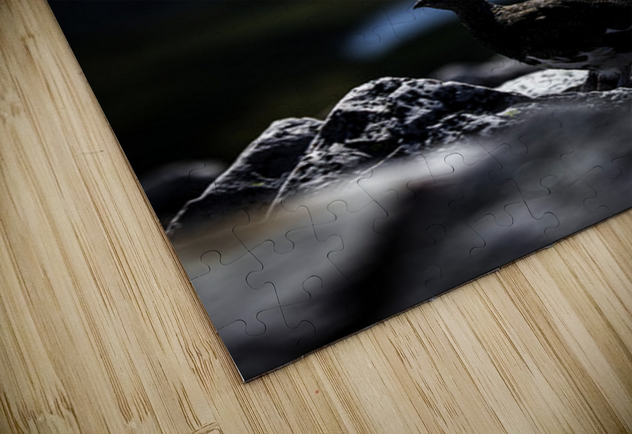 Beyond - a Valley III Francois Lapointe Puzzle