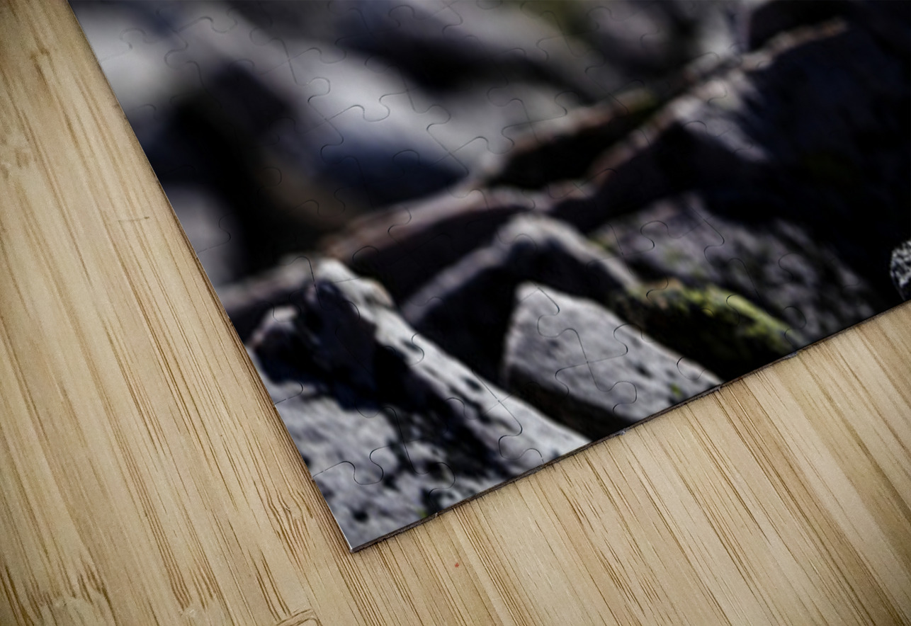 Baritone Bird II Francois Lapointe Puzzle