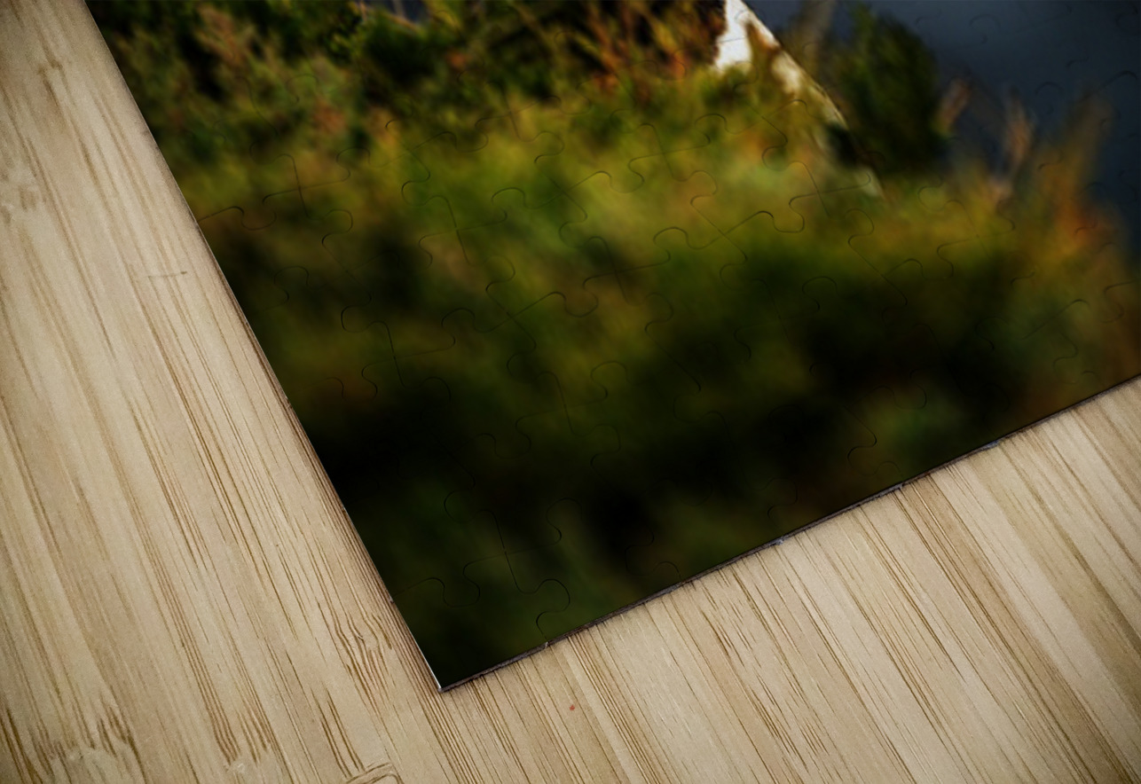 Almost Camo Francois Lapointe Puzzle