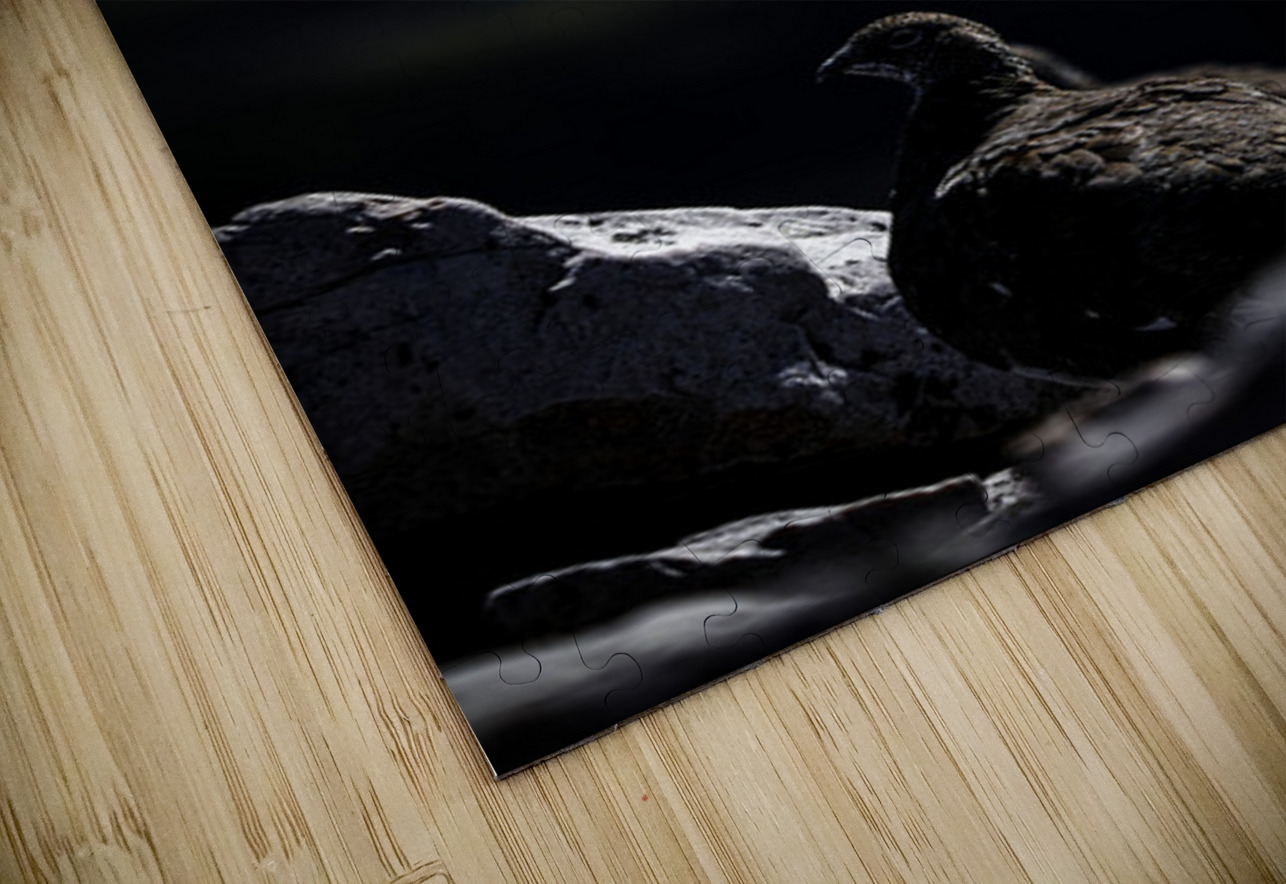 Beyond - a Valley II Francois Lapointe Puzzle