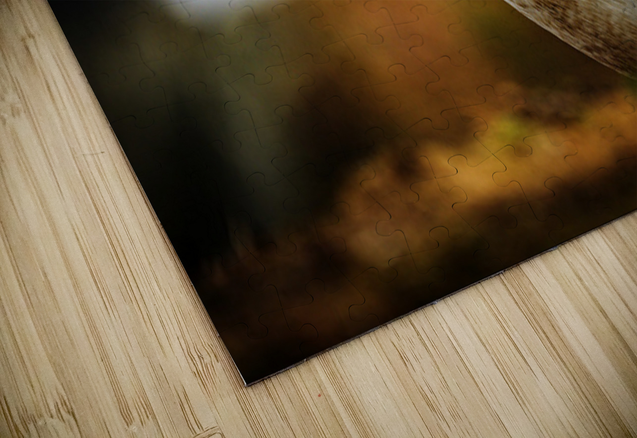 Beak Full II Francois Lapointe Puzzle