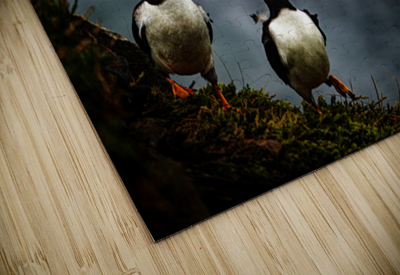 Rough Wind Rough Feather Francois Lapointe Puzzle