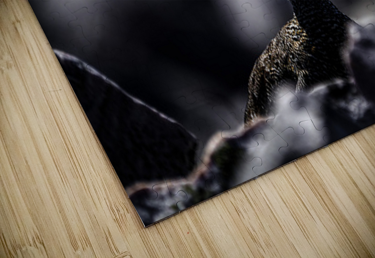 Hard as Rock II Francois Lapointe Puzzle