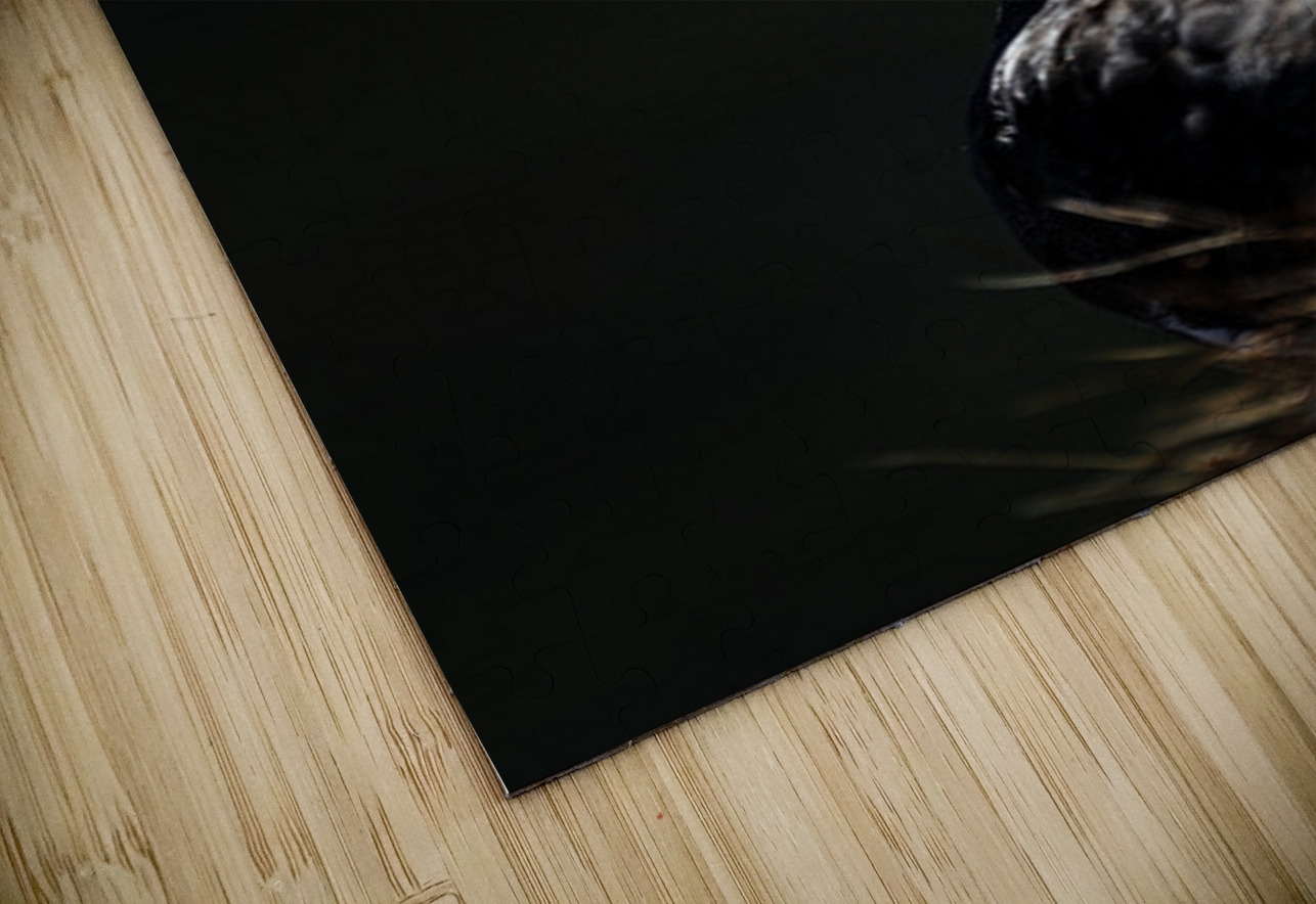 Beyond - a Valley Francois Lapointe Puzzle