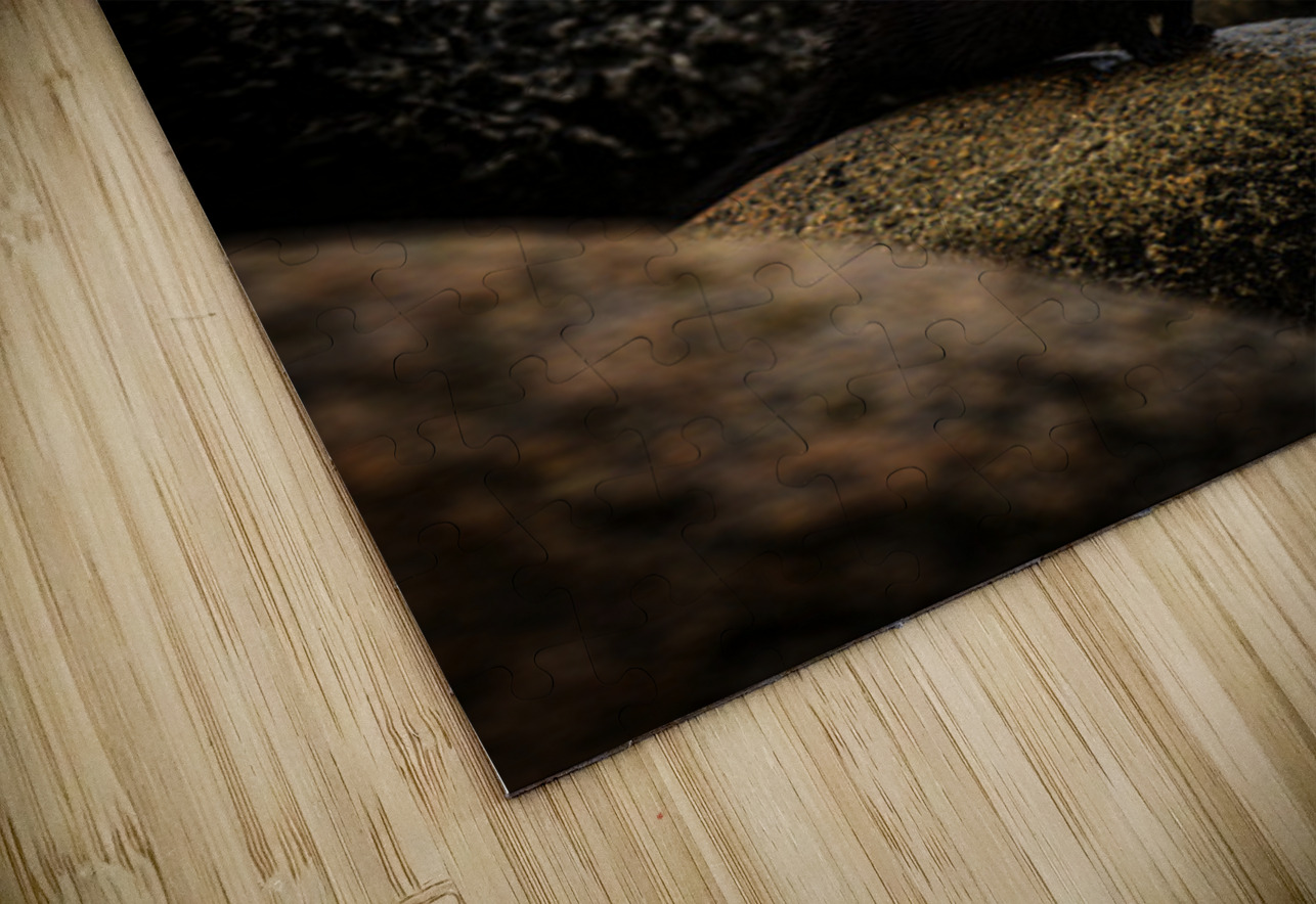 Mighty Mink I Francois Lapointe Puzzle