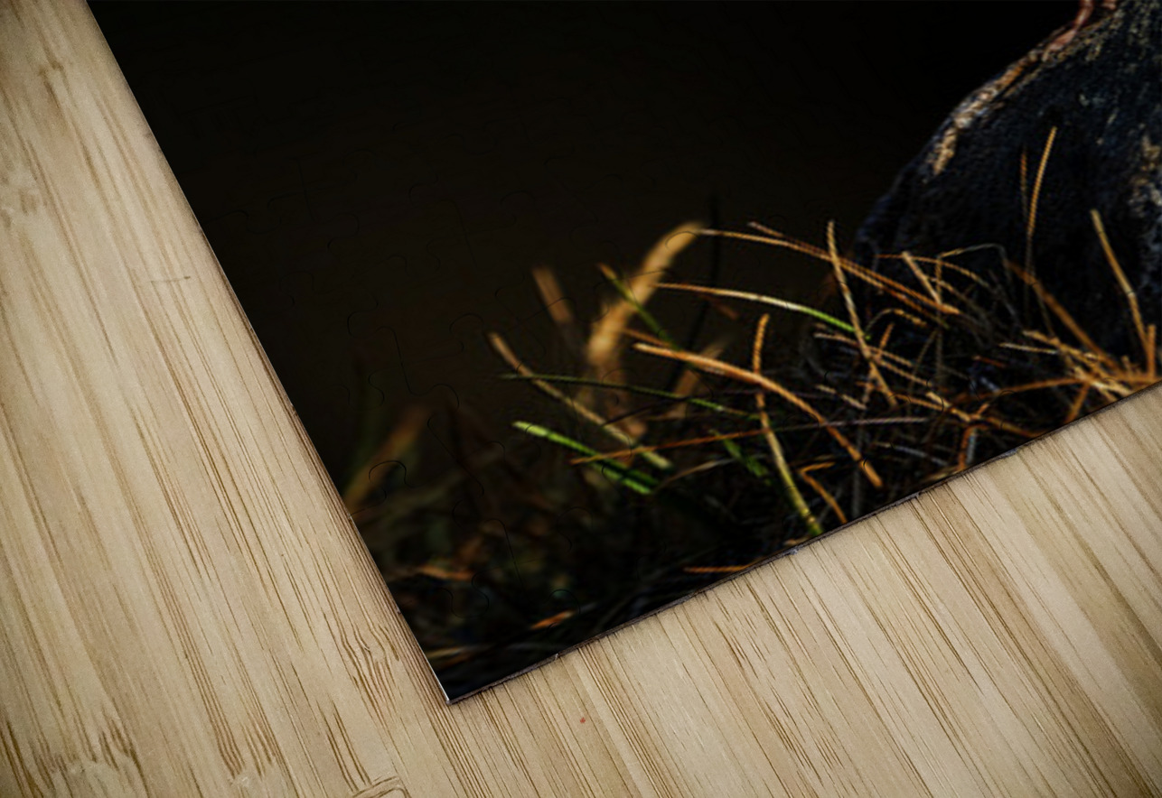 Salty Siskin Francois Lapointe Puzzle