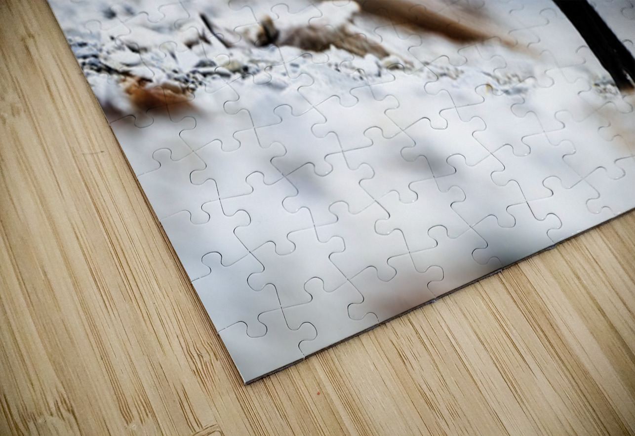 Fire Fox I Francois Lapointe Puzzle