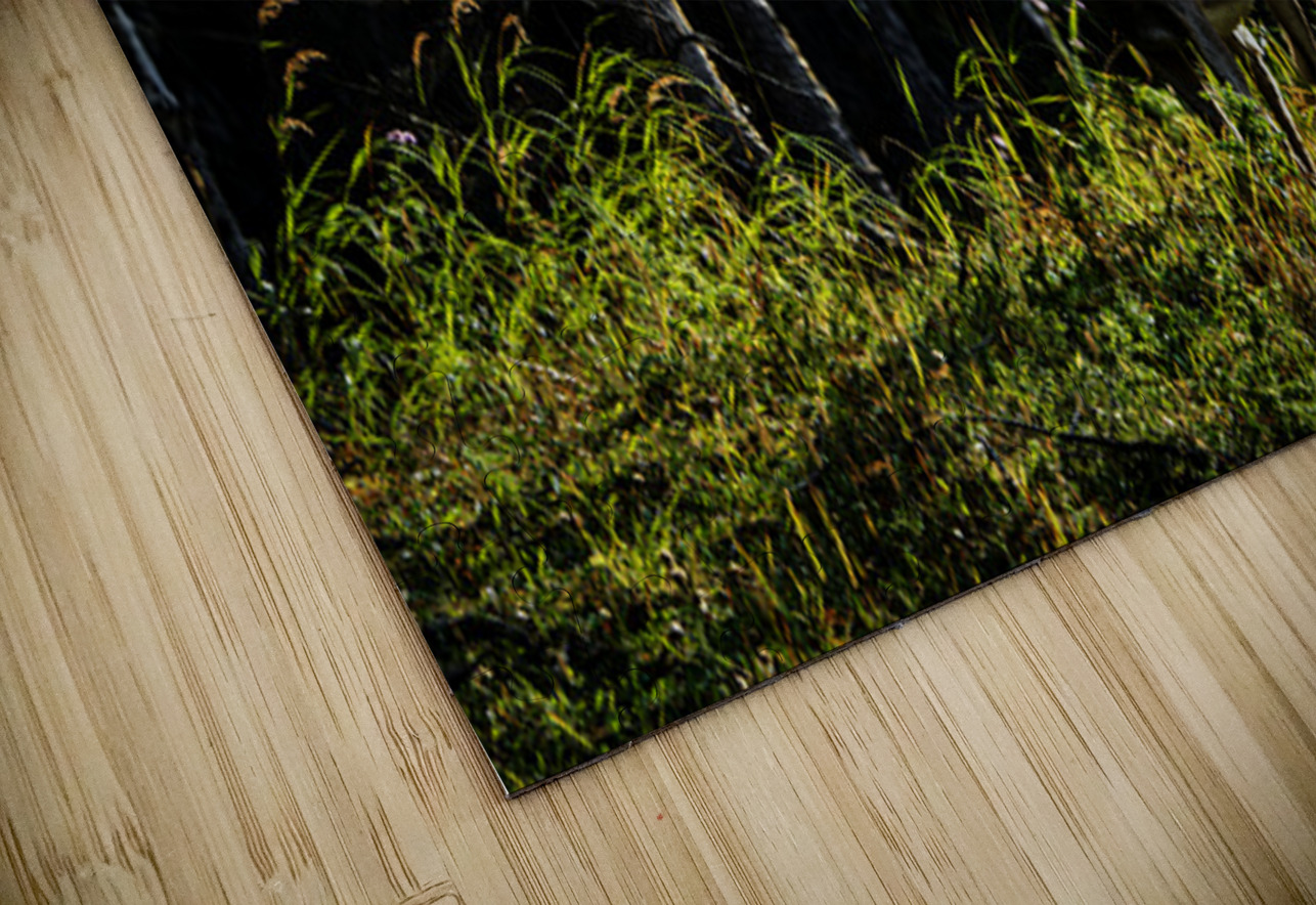 Great Prince of the Forest II Francois Lapointe Puzzle