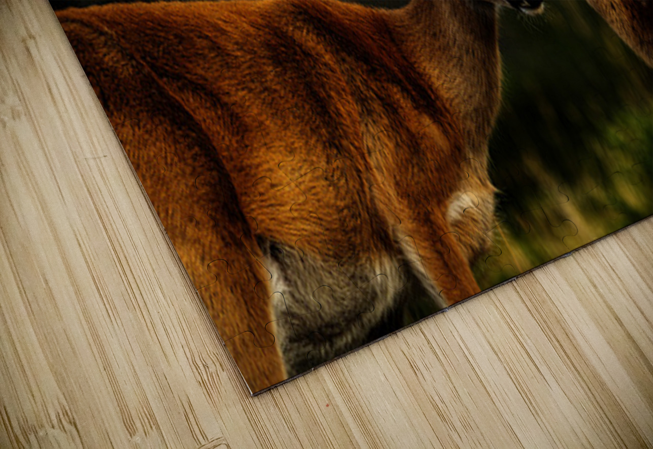 Mother Nature I Francois Lapointe Puzzle