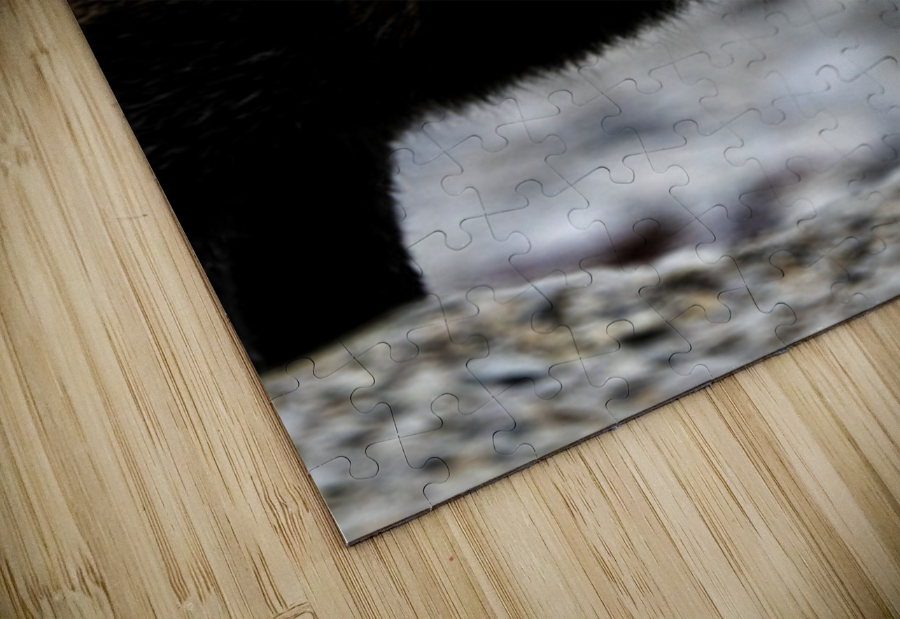 Fire Fox II Francois Lapointe Puzzle