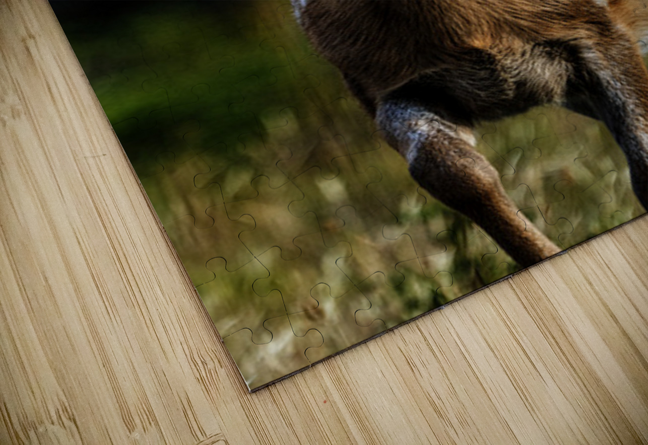 Eye for an eye III Francois Lapointe Puzzle